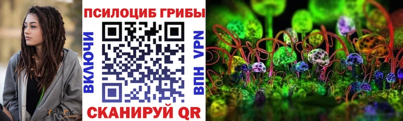 как найти закладки  Лаишево  Галлюциногенные грибы Magic Shrooms 